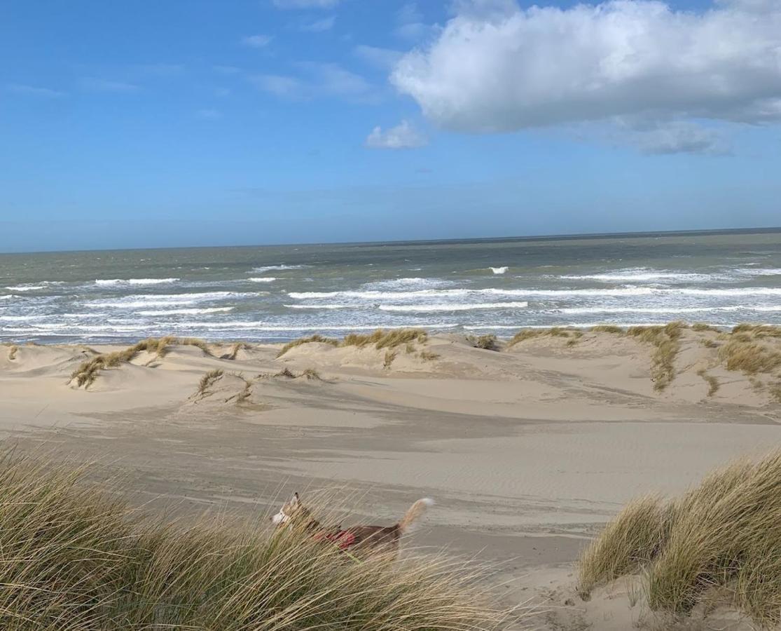 Moderne Studio Aan Het Strand In Oostduinkerke-Bad Коксейде Екстер'єр фото